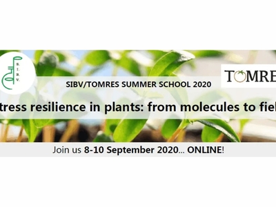 SIBV/TOMRES Summer School