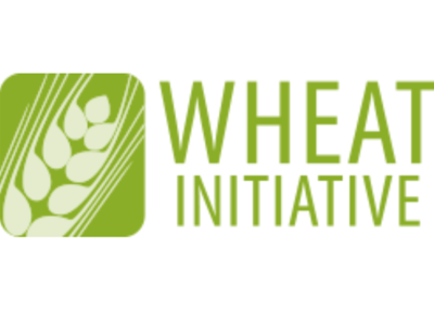 Wheat Initiative