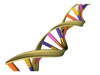 DNA