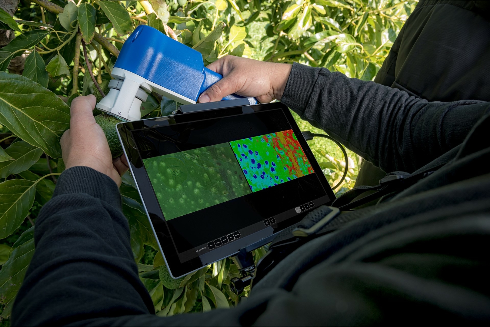 Image of multi-spectral imaging technology