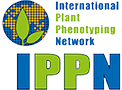 IPPN Logo